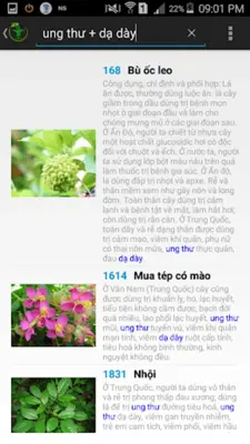 Cây thuốc Việt Nam android App screenshot 5